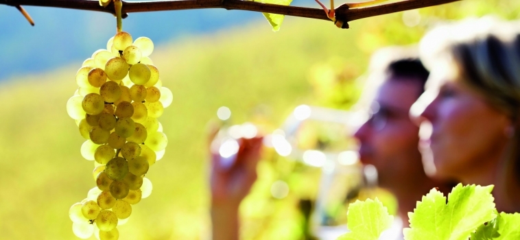Hay muchas razones para recorrer la Ruta del Vino de Rueda… además del vino